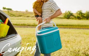 車に置いても邪魔にならない！買い物用で活躍する折りたたみ式クーラーボックスのおすすめ