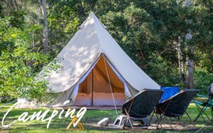 迷ったときのテント選び！ドームテントとワンポールテントを徹底比較