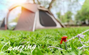 深く打ち込みすぎてペグが抜けないときはペグ抜取器がおすすめ！