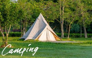 キャンプに最適な綿素材！コットン素材のドームテントのおすすめ