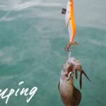 釣り初心者でも大丈夫！時期ごとのイカ釣りおすすめの仕掛けと道具