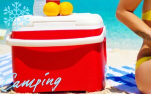 真夏の猛暑でも保冷時間が驚異的な長時間のクーラーボックスの紹介