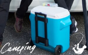 釣った魚を最高の状態で持ち帰ろう！釣りに最適なクーラーボックスのサイズと選び方