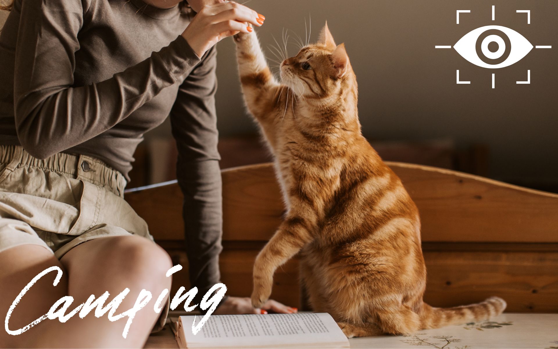 ペットカメラで見守りながら自動でおやつ＆餌やりができる留守番アイテム!