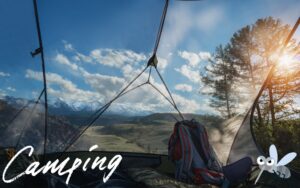 キャンプ食事中の虫をシャットアウト！室内＆屋外におすすめの蚊帳テント