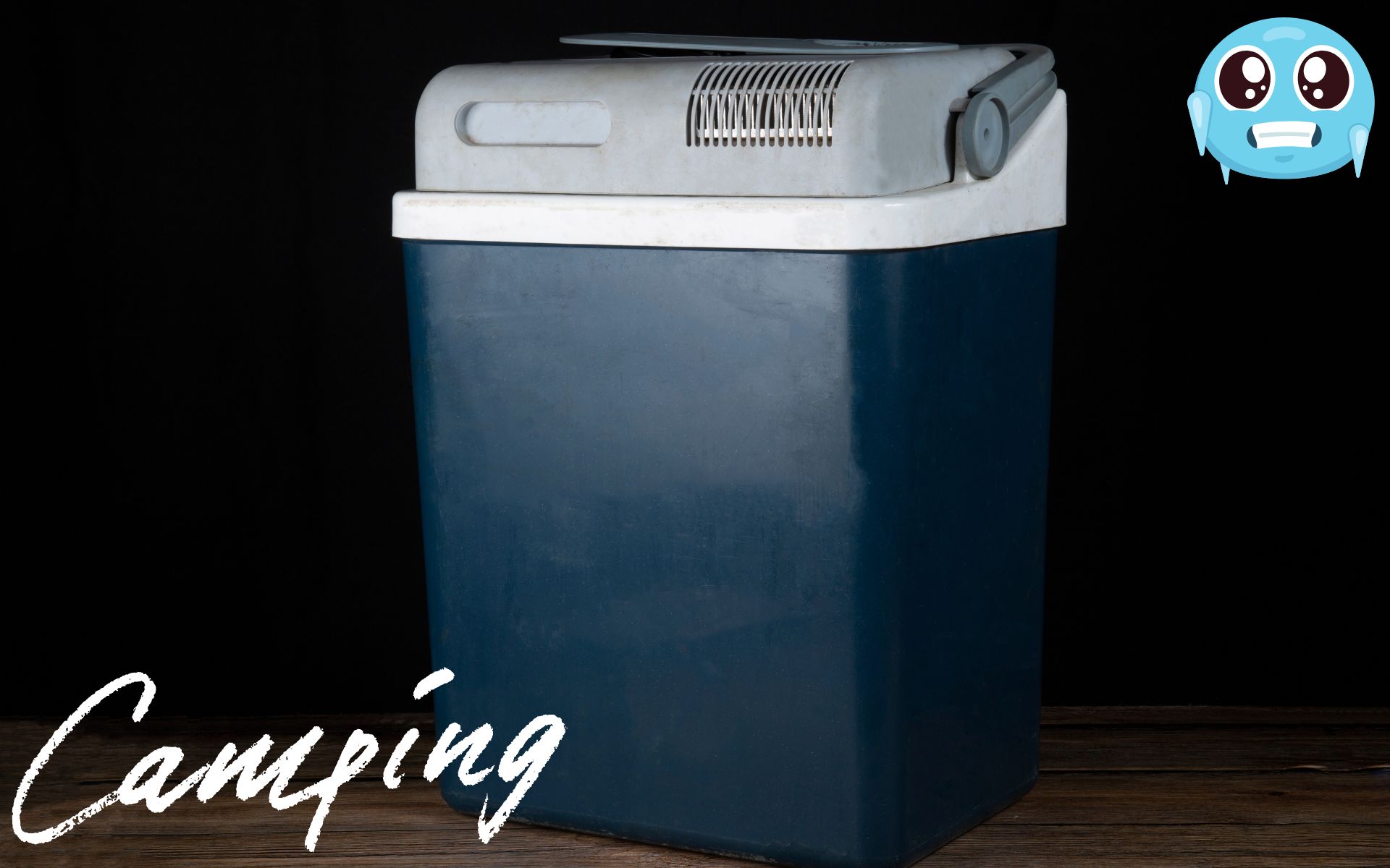 キャンプ＆買い物で大活躍！長時間の冷凍＆冷蔵が可能な電源付きクーラーボックス