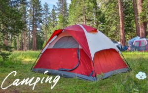 強風でも安心！知っておきたい風に強いテント＆ペグの最強対策法