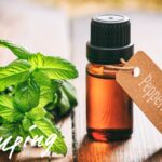 蚊も撃退！ハッカ油を使った超簡単虫除けスプレーの効果と作り方