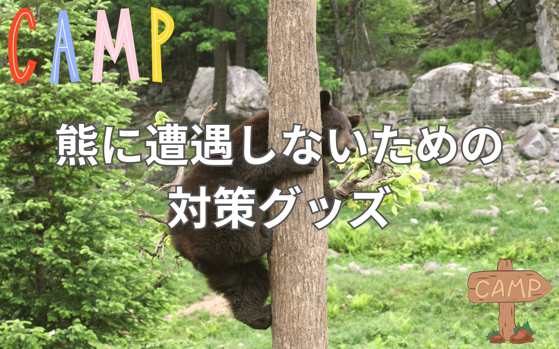 知らないと危険！キャンプで熊に遭遇しないための最強対策グッズ