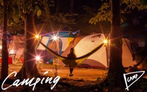 キャンプ初心者が知っておくべきグランドシート使い方完全ガイド