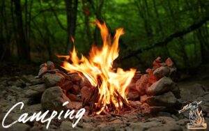 メッシュ焚き火台の魅力は軽さだけじゃない！その耐久性とデメリットとは