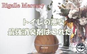 トイレの悪臭を瞬間リセット！アンモニア臭に効く最強消臭剤はこれだ
