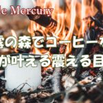 朝露の森で一杯のコーヒーを！キャンプ用ミルが叶える五感震える目覚め