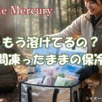 もう溶けちゃったの？最強の保冷剤なら長時間ガツンと凍ったまま！