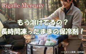もう溶けちゃったの？最強の保冷剤なら長時間ガツンと凍ったまま！